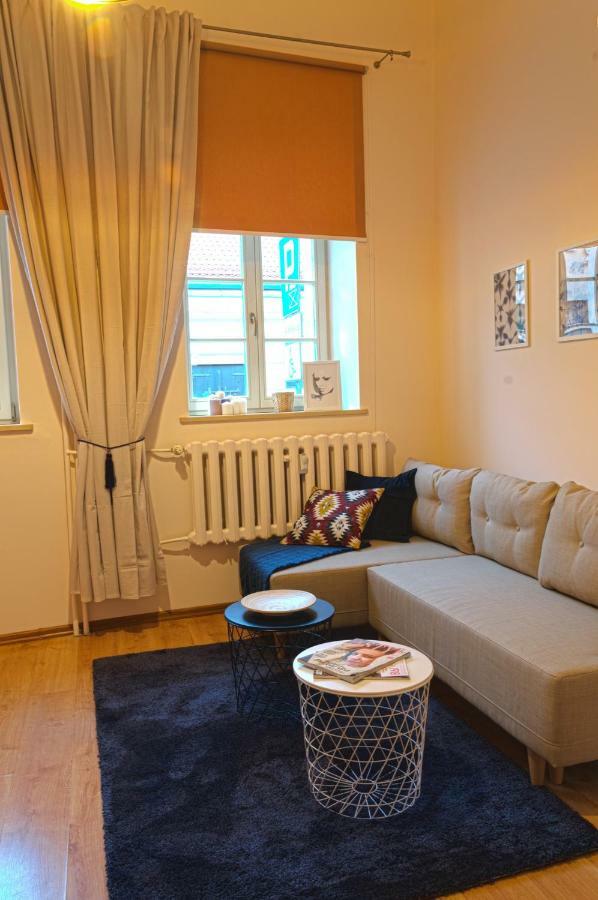 Apartament Ducha No'7 Stary Toruń Exteriör bild